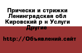 Прически и стрижки - Ленинградская обл., Кировский р-н Услуги » Другие   